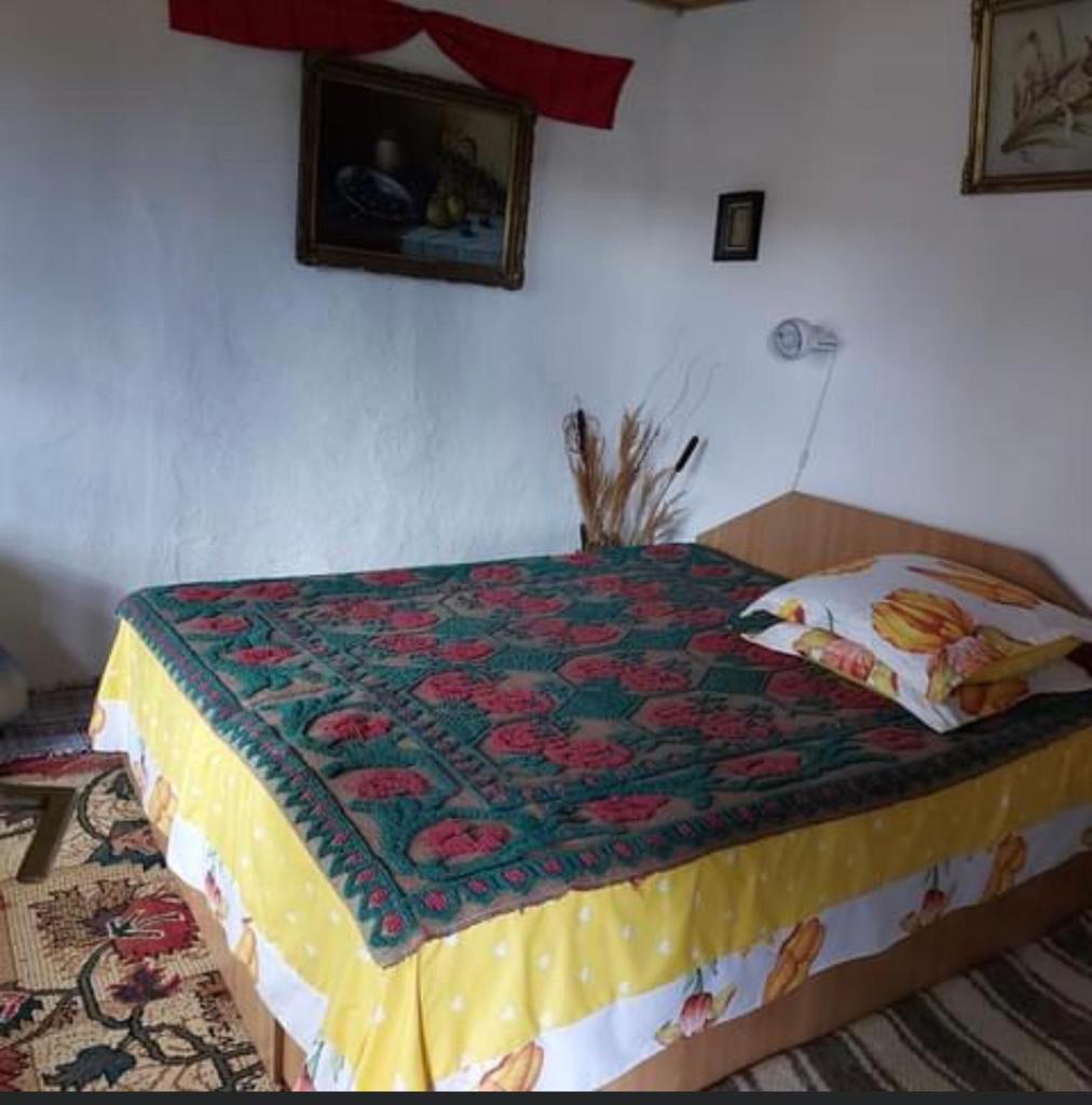 Căsuța fa rai din ce ai photo 4