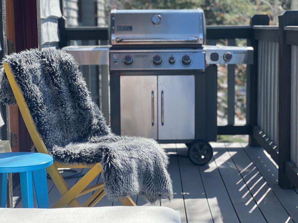 Escape Chalet - Family and Pet-friendly Steamboat Chalet photo 3
