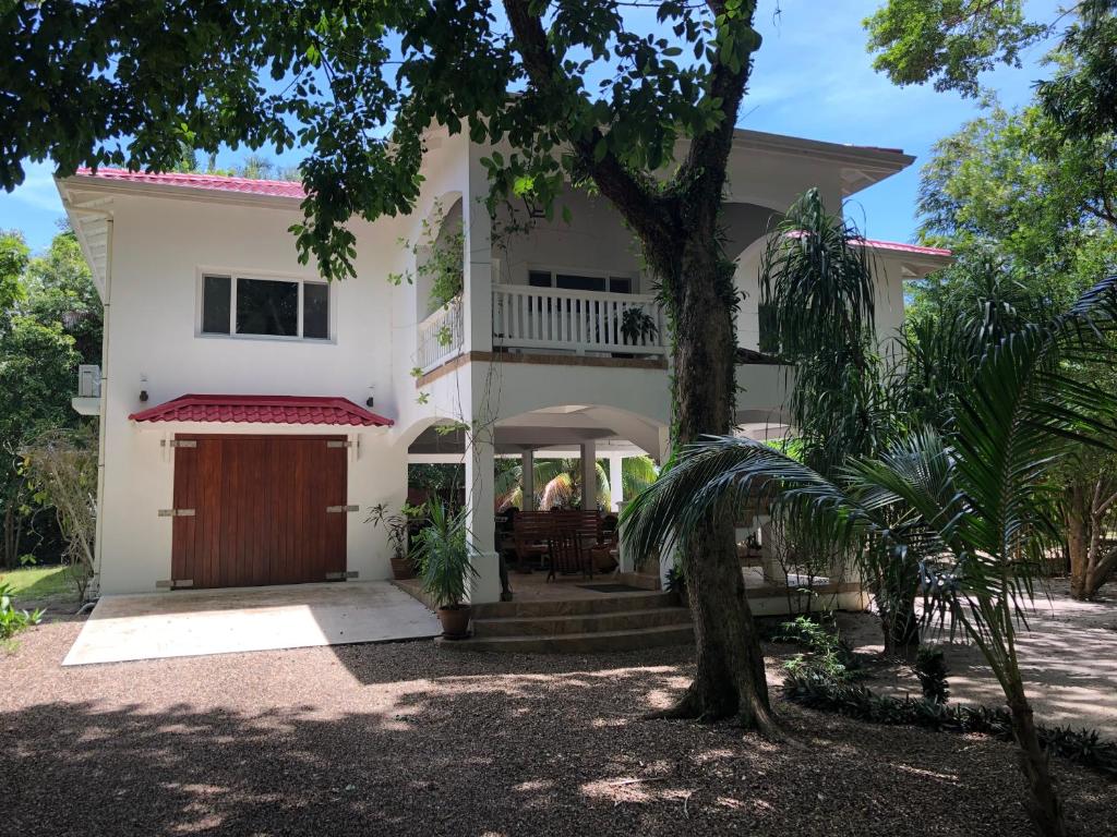 Ceiba Beach Resort photo 3