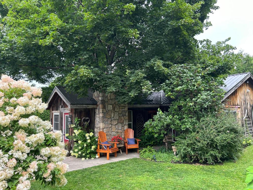 Cozy Guest House close to Wasaga Beach & Blue Mtn photo 3