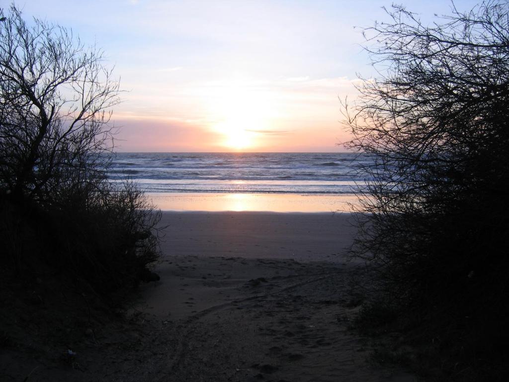 Playa MaLú photo 1
