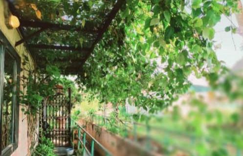 IPOH CEMPAKA VILLA (12pax) vintage.classic经典复古.精品民宿 photo 1