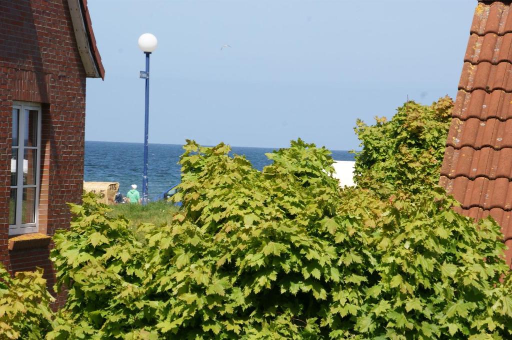 Strandkorb photo 3