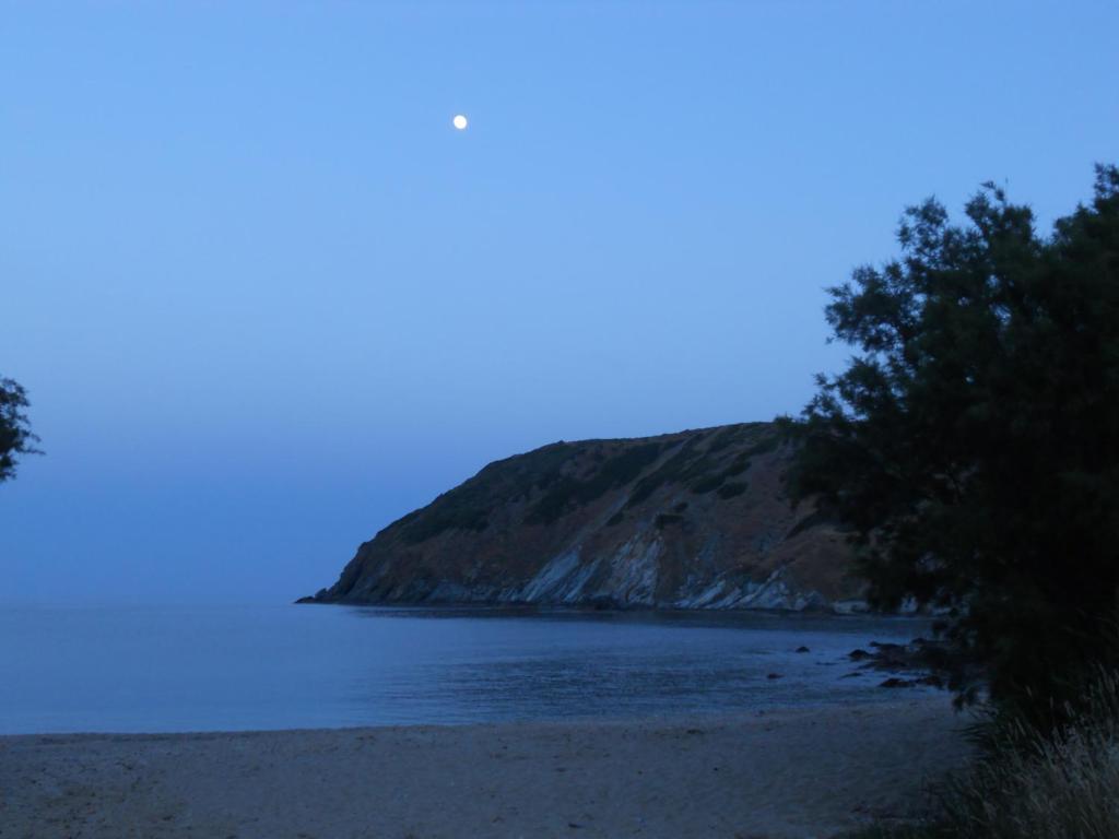 Bel Mare photo 4