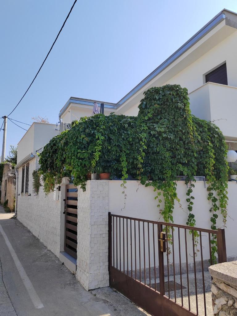 Apartman studio Otium photo 1