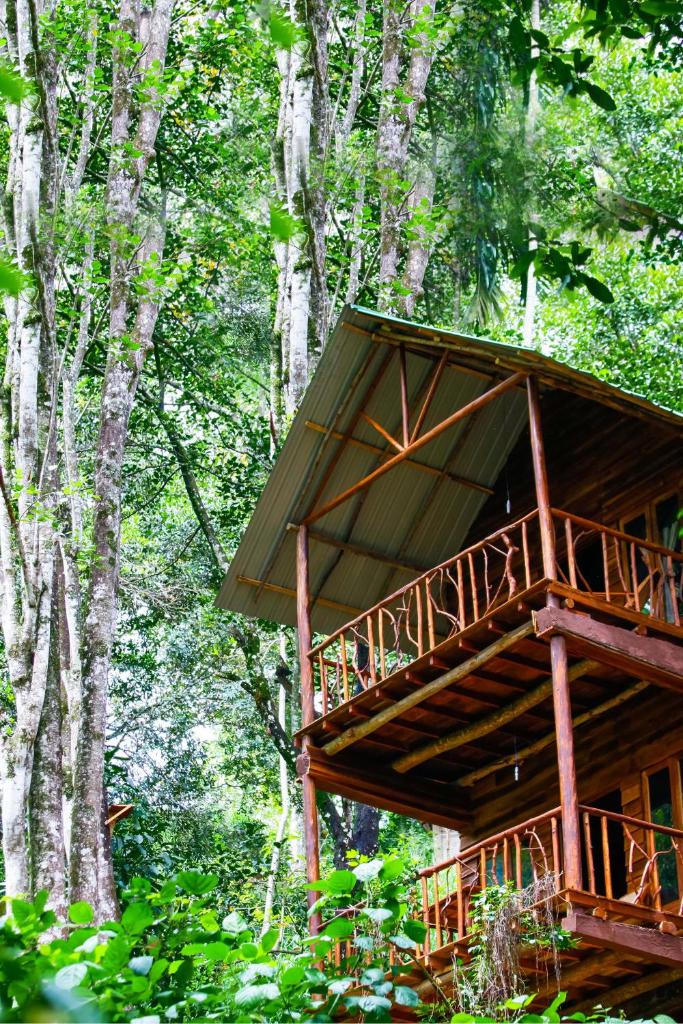Ella Ecolodge