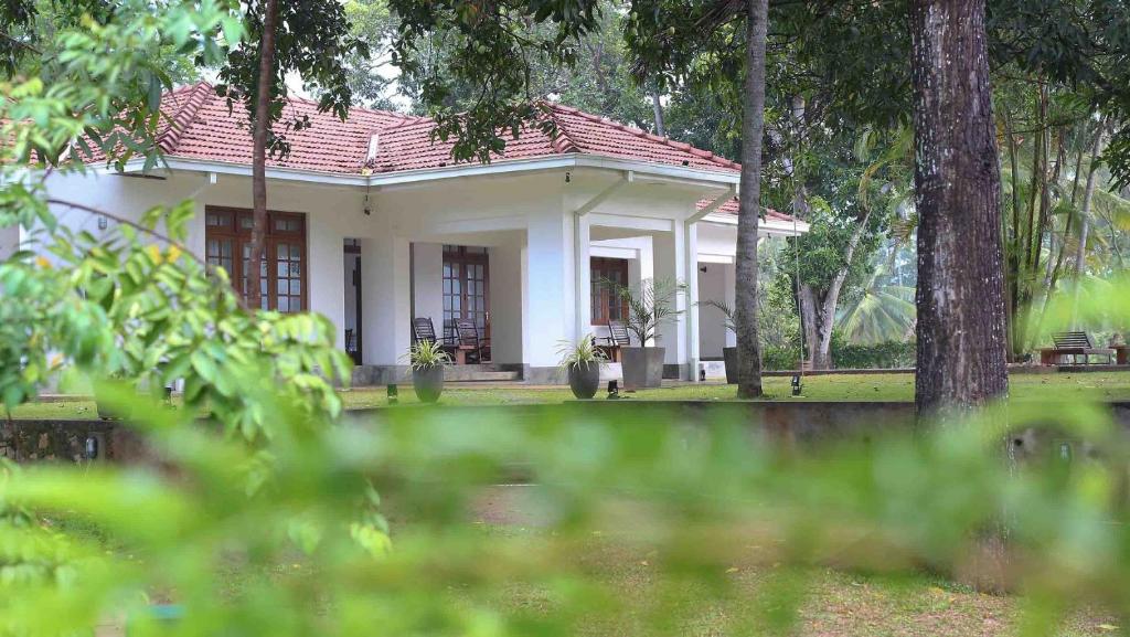 Raddegoda Walawwa Kurunegala photo 1