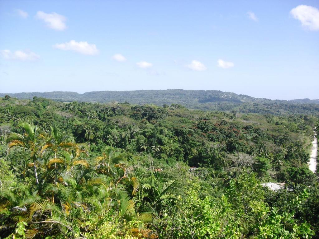 Tamarind Great House photo 4