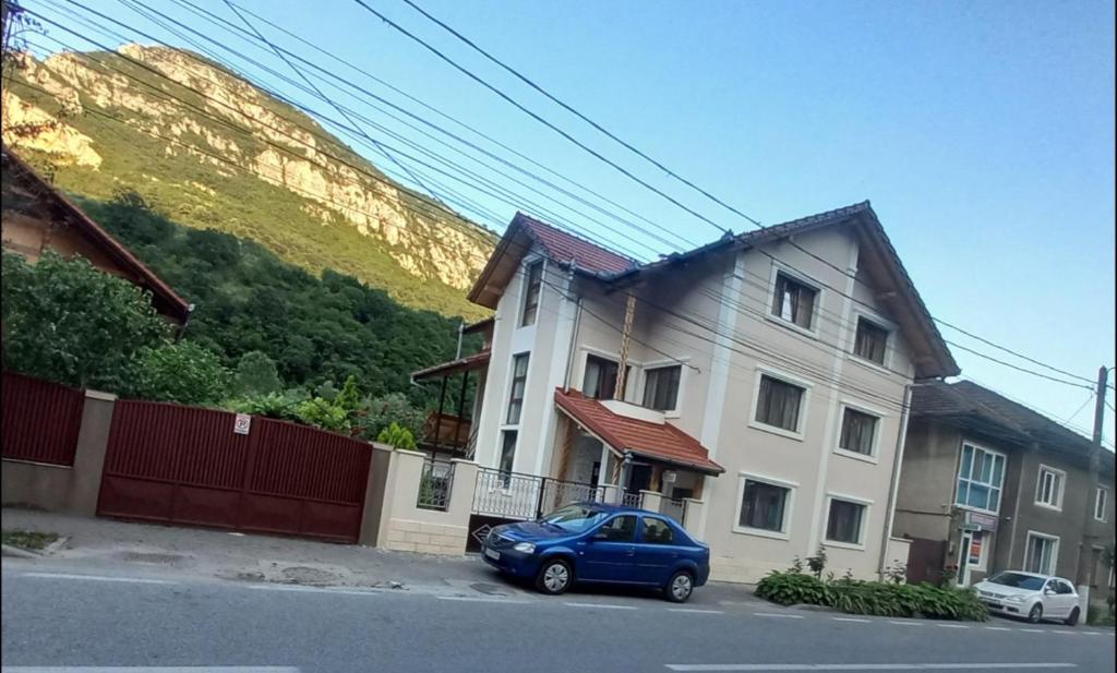 Casa Peneșel photo 1