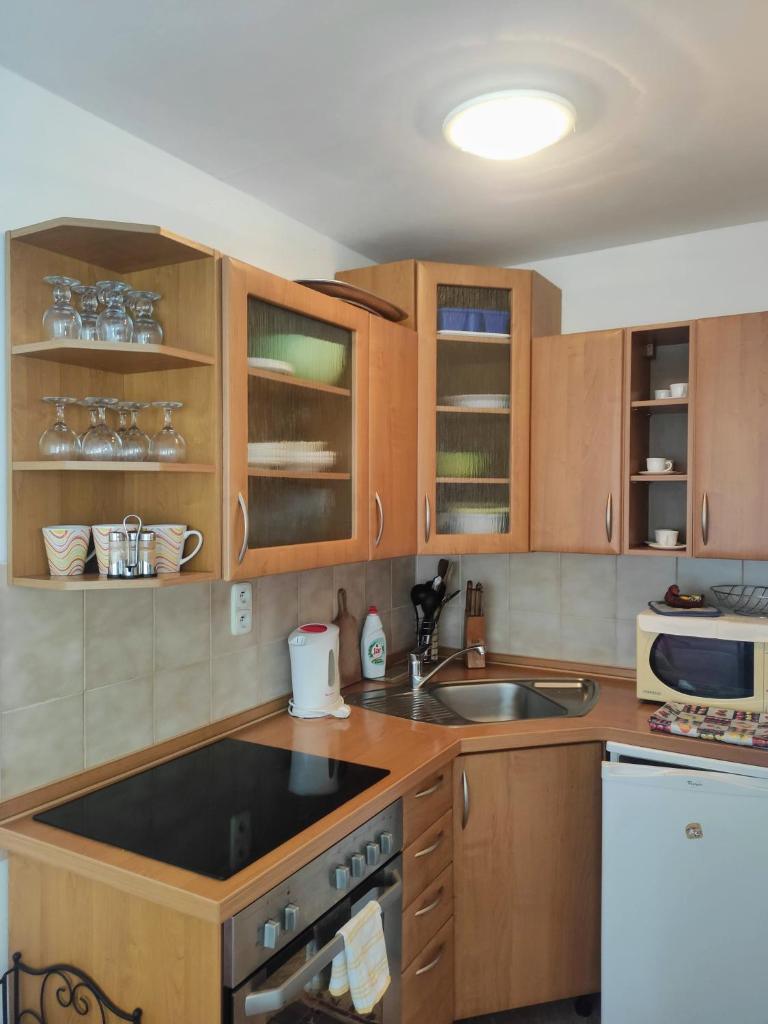 Rodinné apartmány Vlatka s veľkým pozemkom photo 4