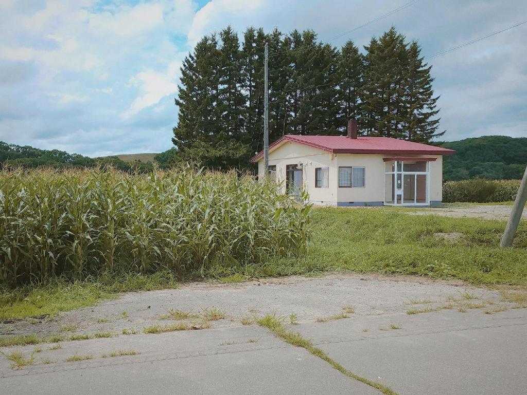 fukiconoie photo 4