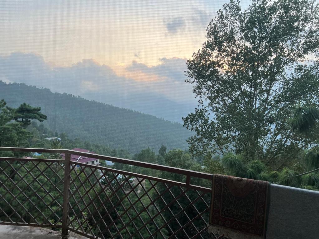 Chinar Hotel photo 4