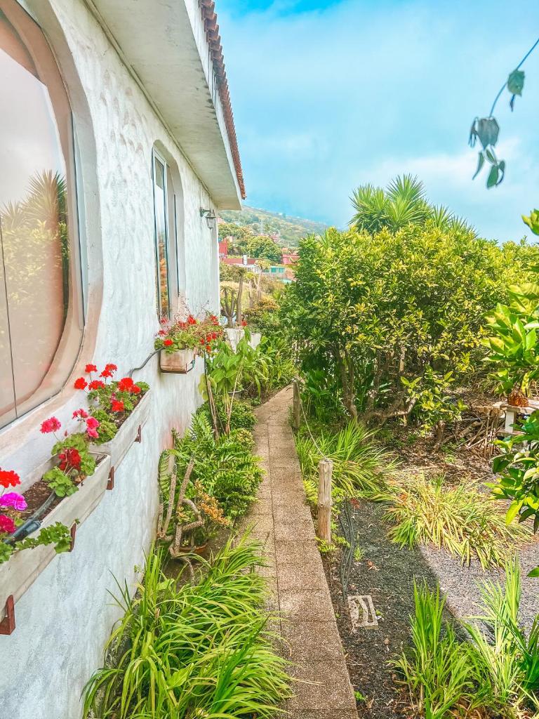 Canarian Cottage with terrace surrounded by garden - Alisios photo 1