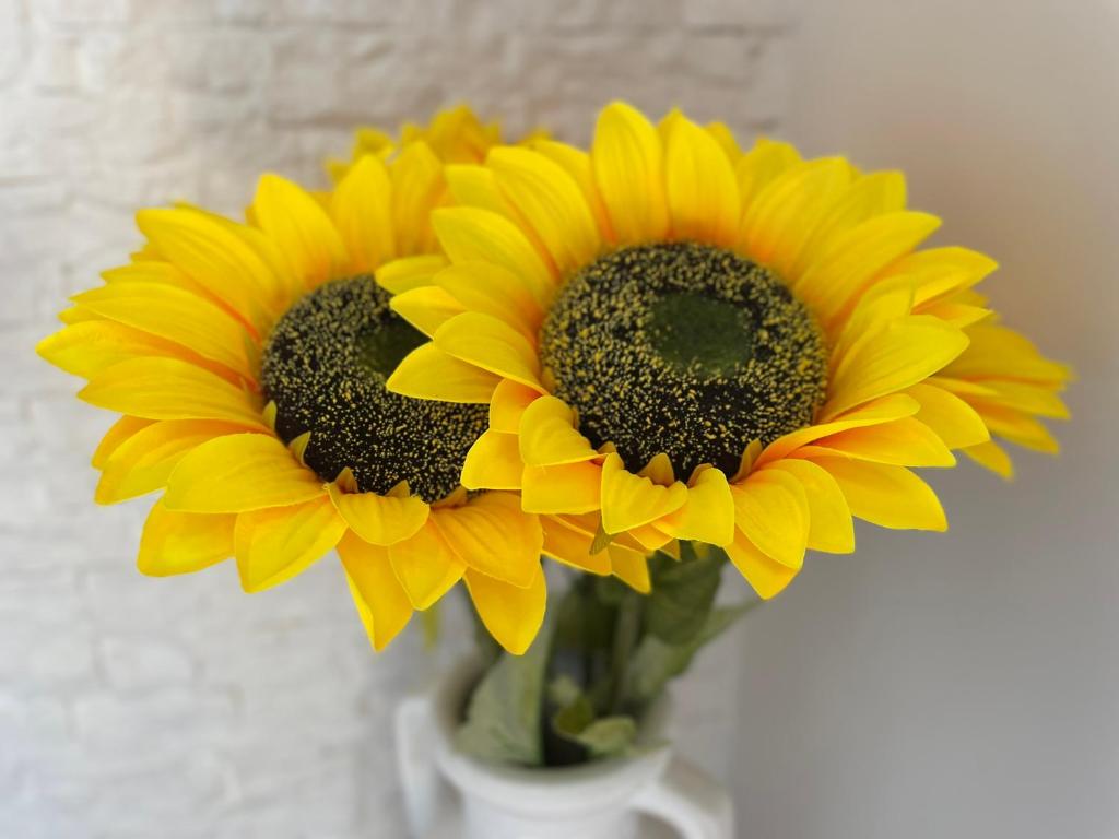 Attico Girasole photo 2