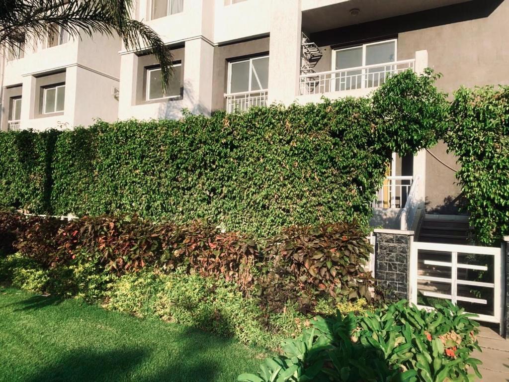 Cozy apartment with garden Madinaty