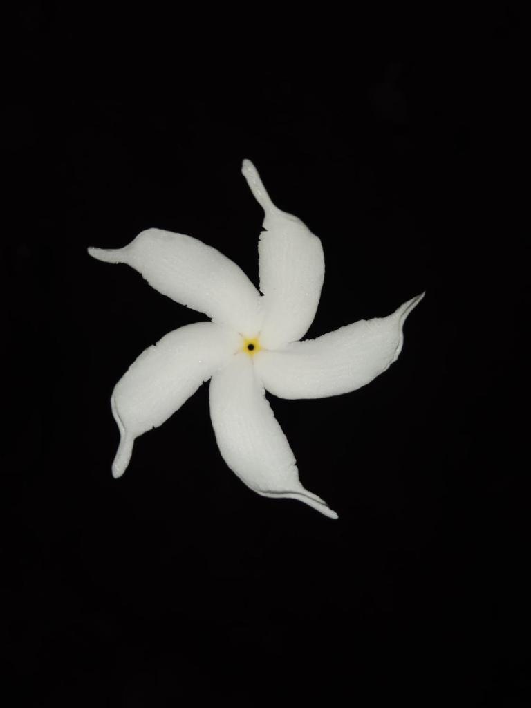 Carpe Jasmine House