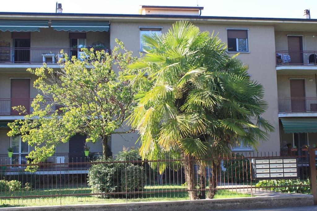 Casa Luna photo 4