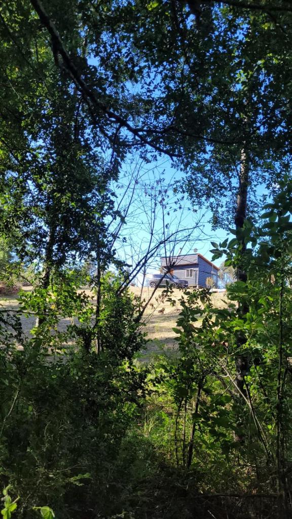 Karu-Terra cabin photo 2