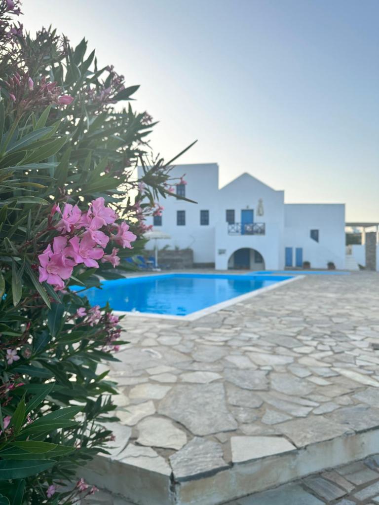 Iliopetra Studios photo 2