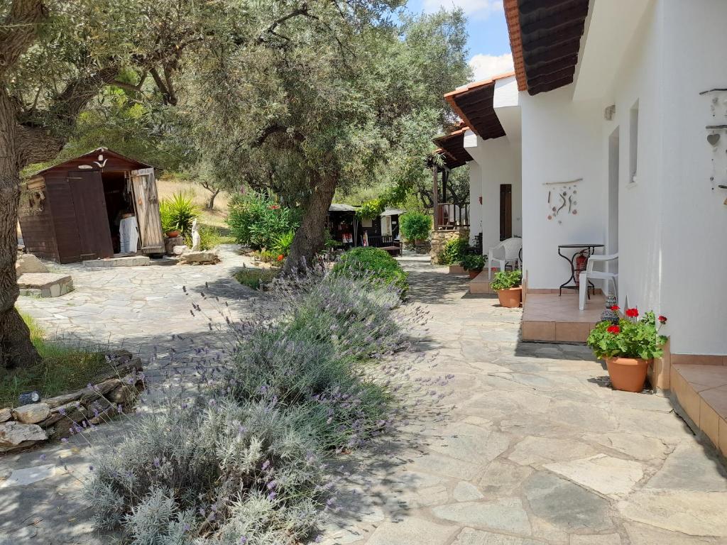 Kortiri Studios photo 2