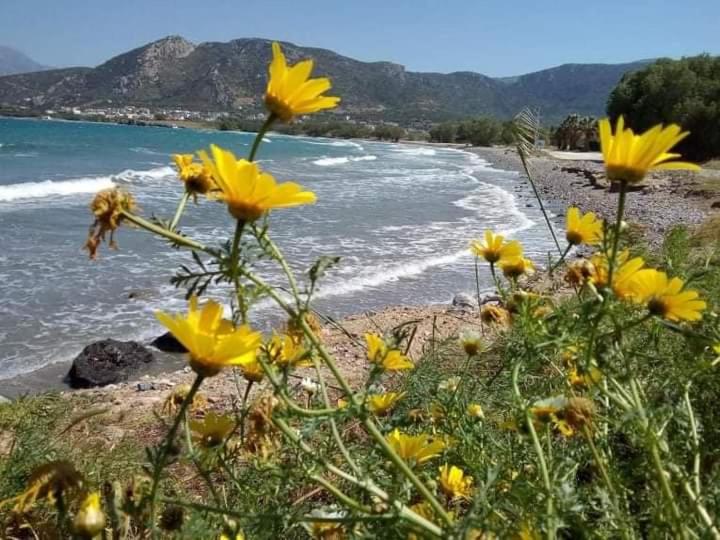 Villa Aristea - Tap to explore photos