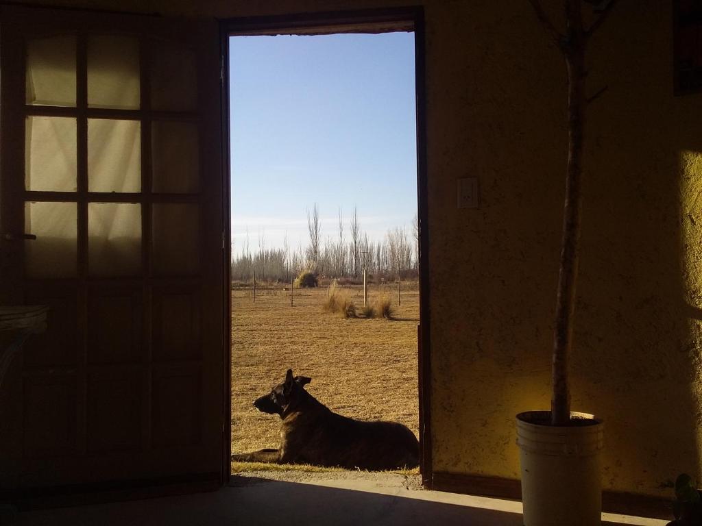 Buda de Uco Lodge photo 2