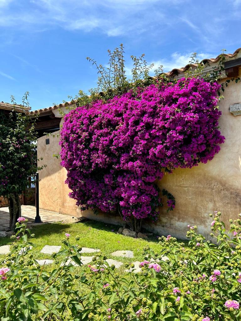 Villa Luca photo 4