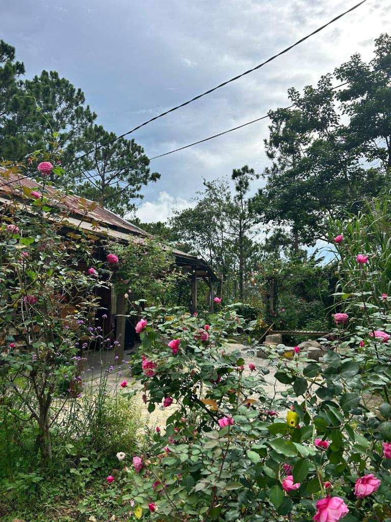 Romantic house on a pine hill 2