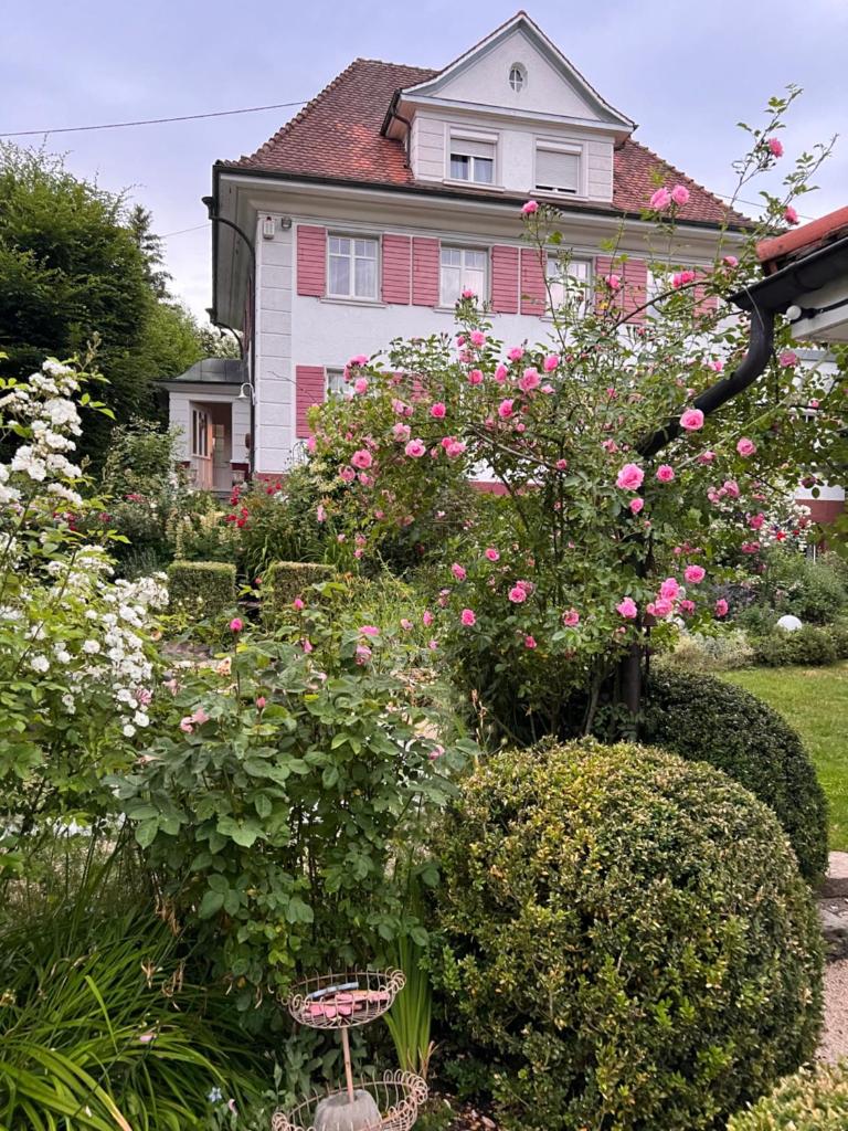 B&B Rosenliebe photo 3