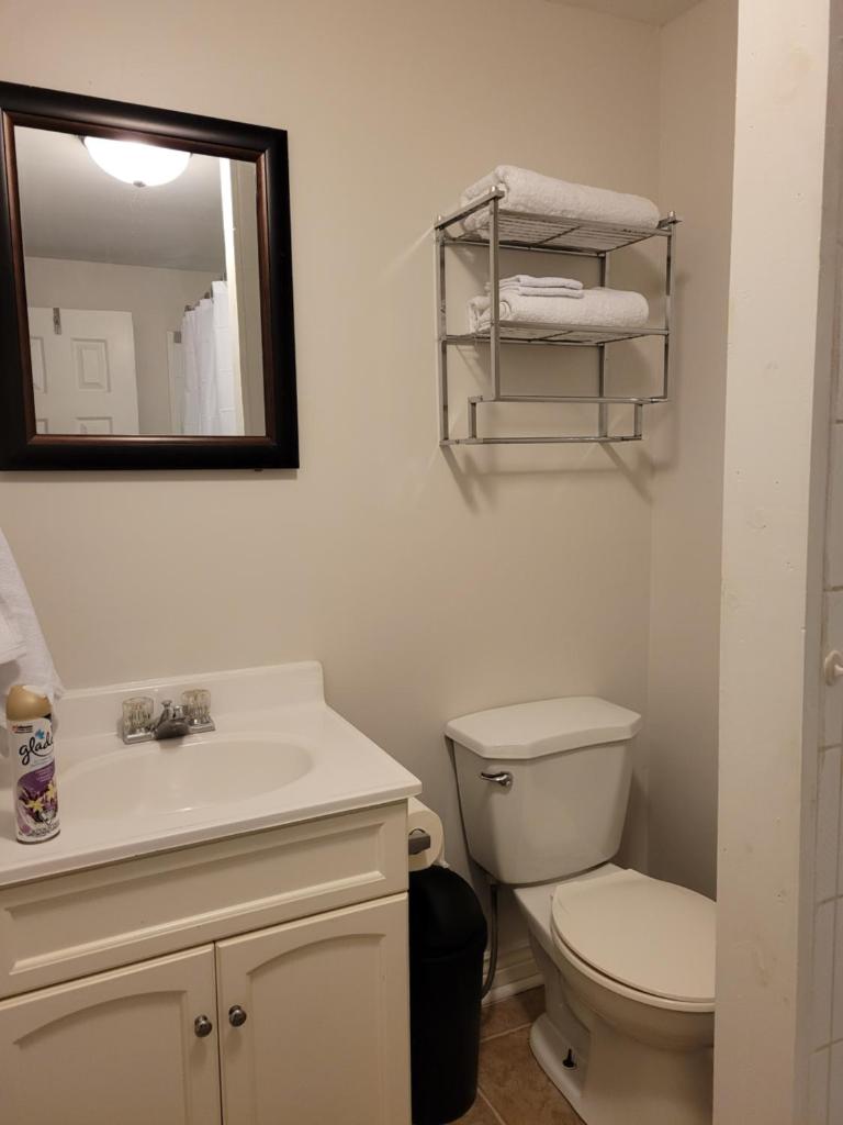Full 1-bedroom apartment photo 1