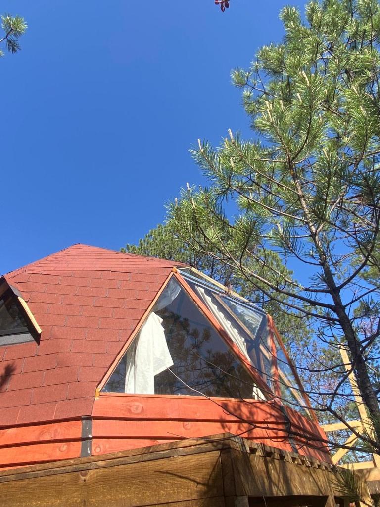 Glamping Town photo 4