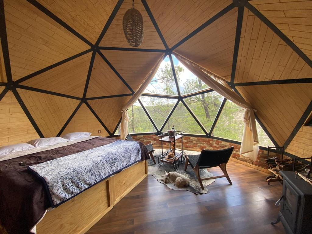 Glamping Town photo 1