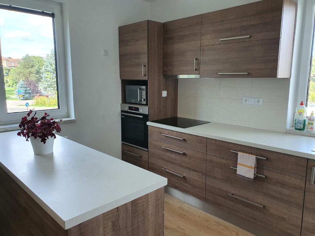Apartmán Ostrov nad Oslavou photo 4