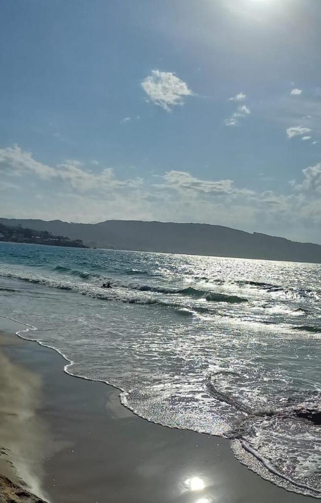 Bombinhas photo 3