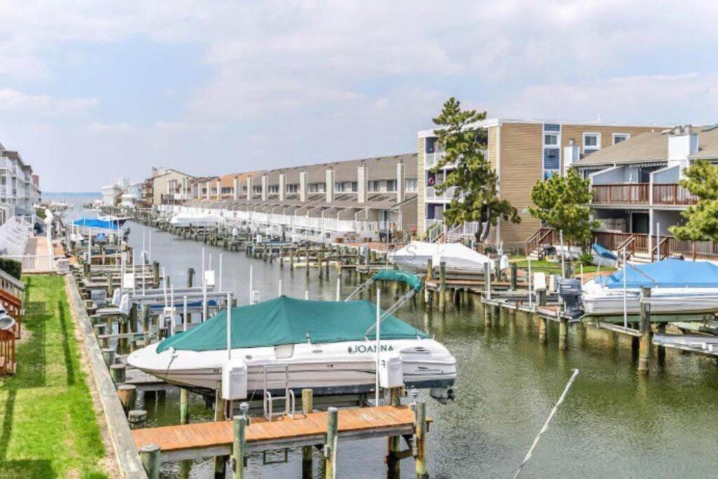 Lucy’s Bayside Paradise image
