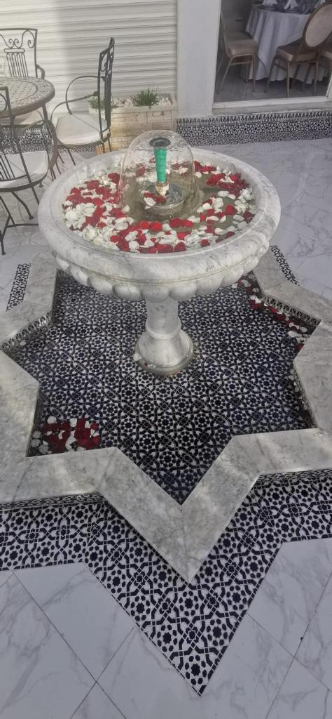 Luxe appartement vc grand terrasse ( villa ) photo 3