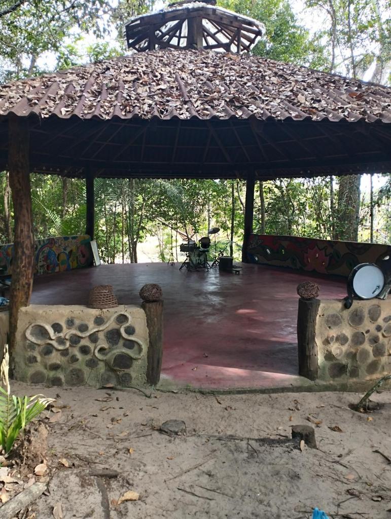 Igapó da Floresta photo 4