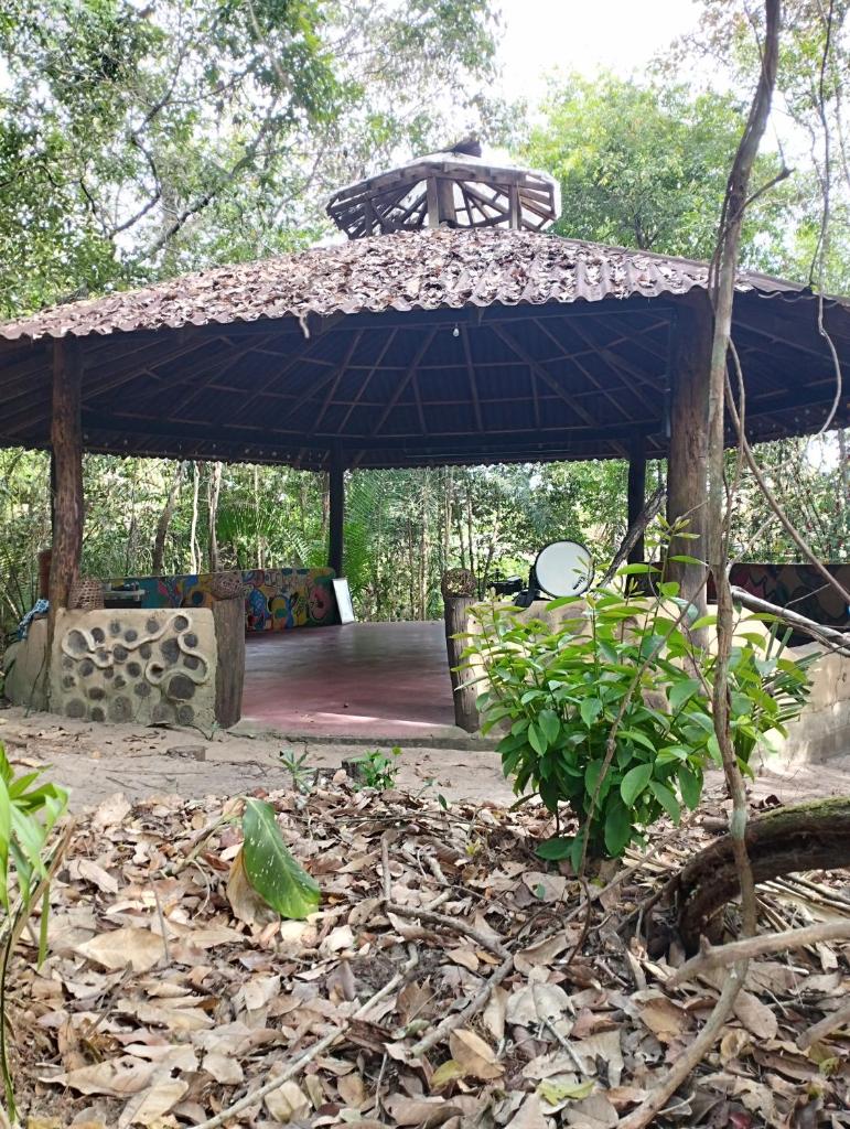 Igapó da Floresta