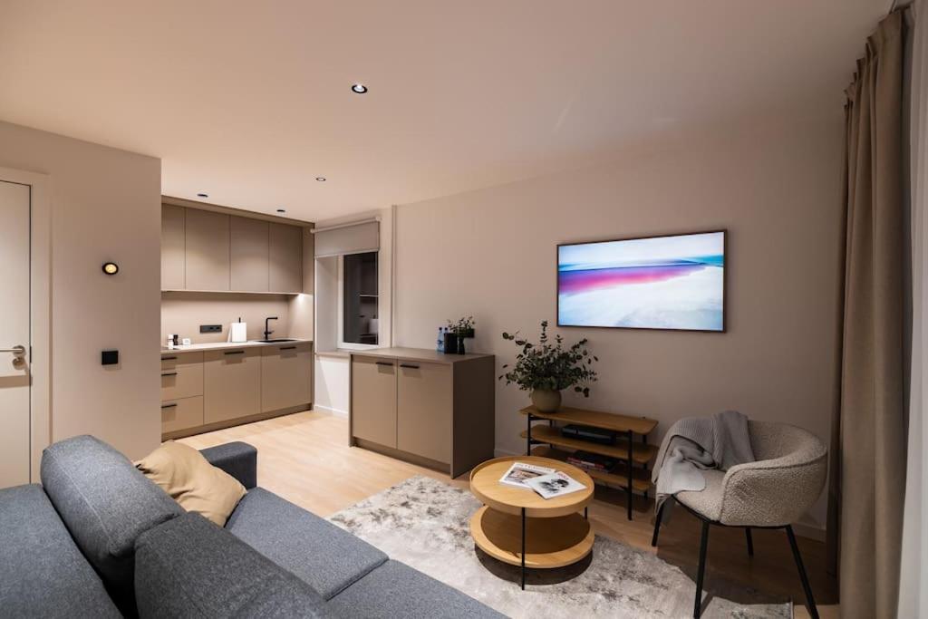Birzes dzīvoklis (Birzes condo) photo 4