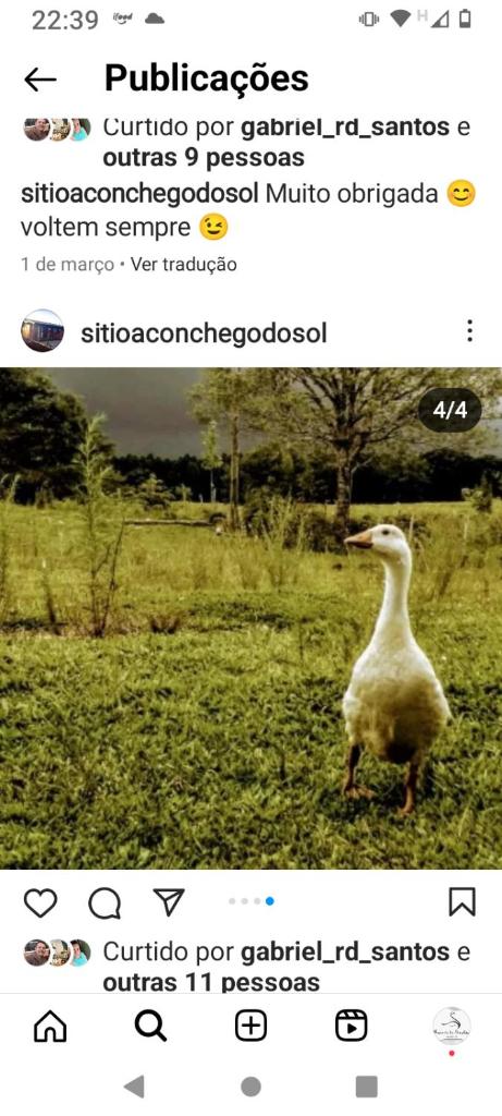 RECANTO DO SINALEIRO GRAMADO photo 1