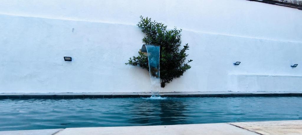 Piscina e sol na Vila Madalena photo 1