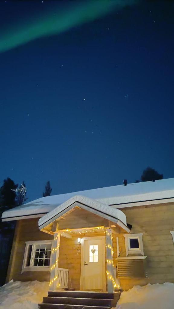 Hallahaukka photo 1