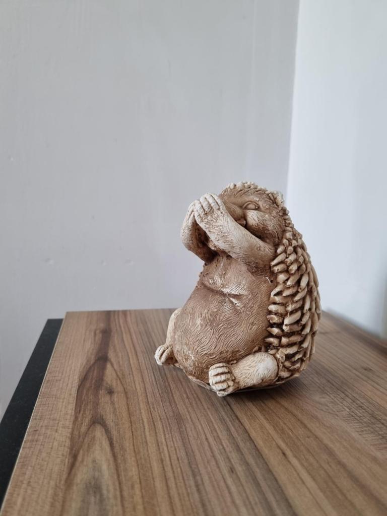 Single Room, одноместная комната в доме, chambre d'une personne, Habitación individual photo 2