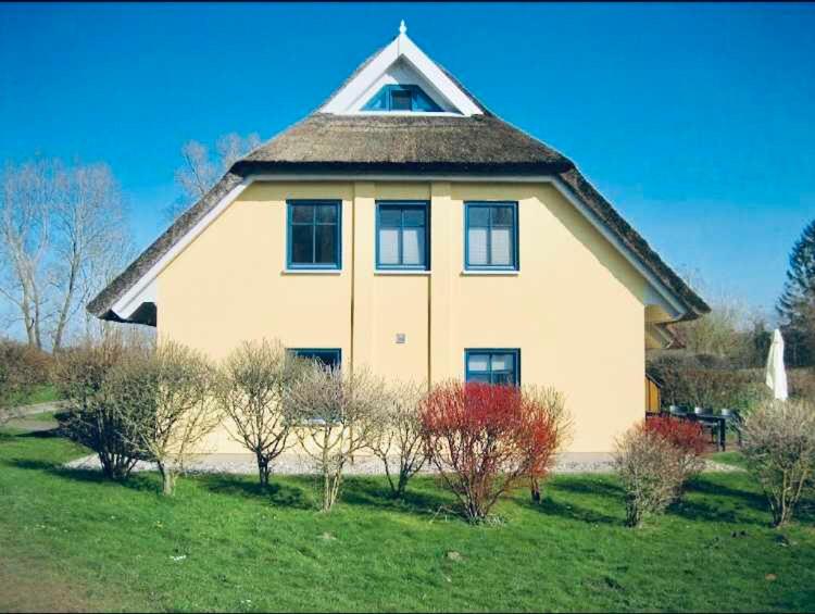 Komfortables Reetdachferienhaus Hasel 1 photo 2
