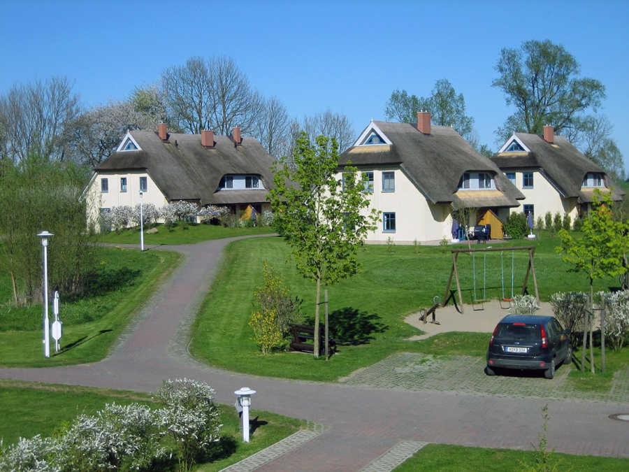 Komfortables Reetdachferienhaus Hasel 1 photo 3