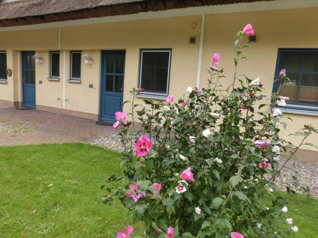 Reetdachhaus Malve 3 im Feriendorf Puddeminer Wiek photo 3