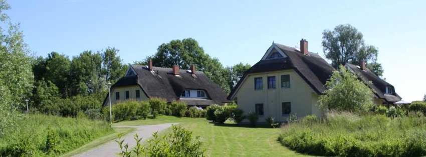 Reetdachhaus Weißdorn 1 photo 2