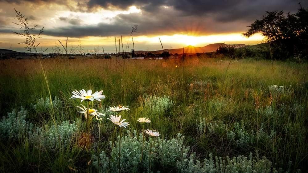Wetlands Country House & Sheds photo 2