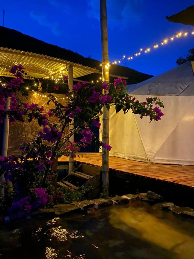 Domo Glamping Kalpavriksha - Jostcolombia photo 3