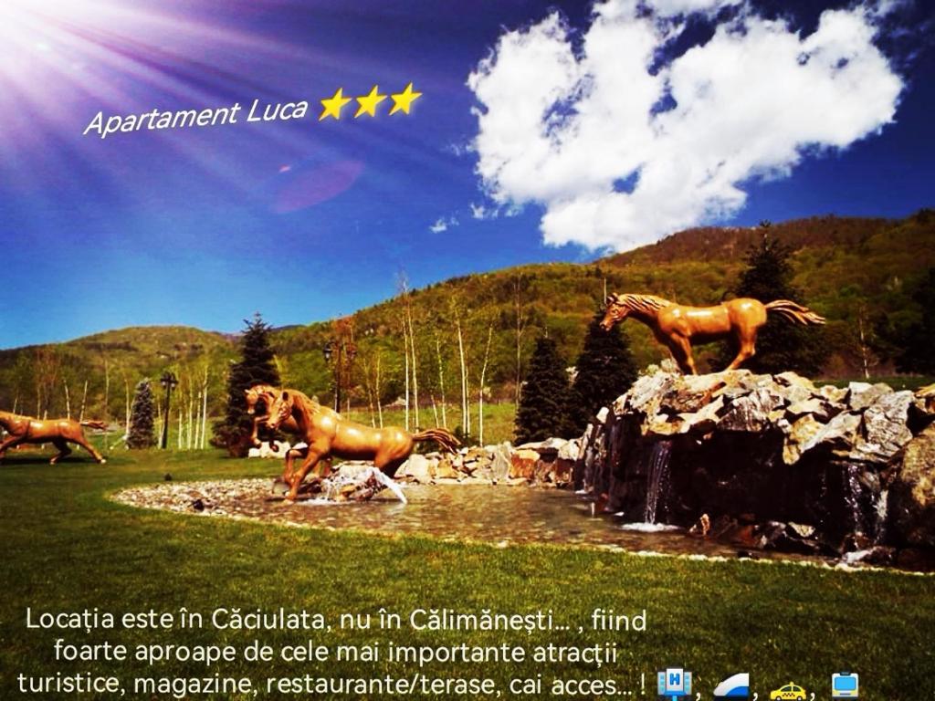 Apartament Luca photo 2